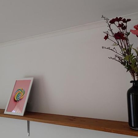 Appartementen Dorp & Duin エグモント・アーン・ゼー エクステリア 写真