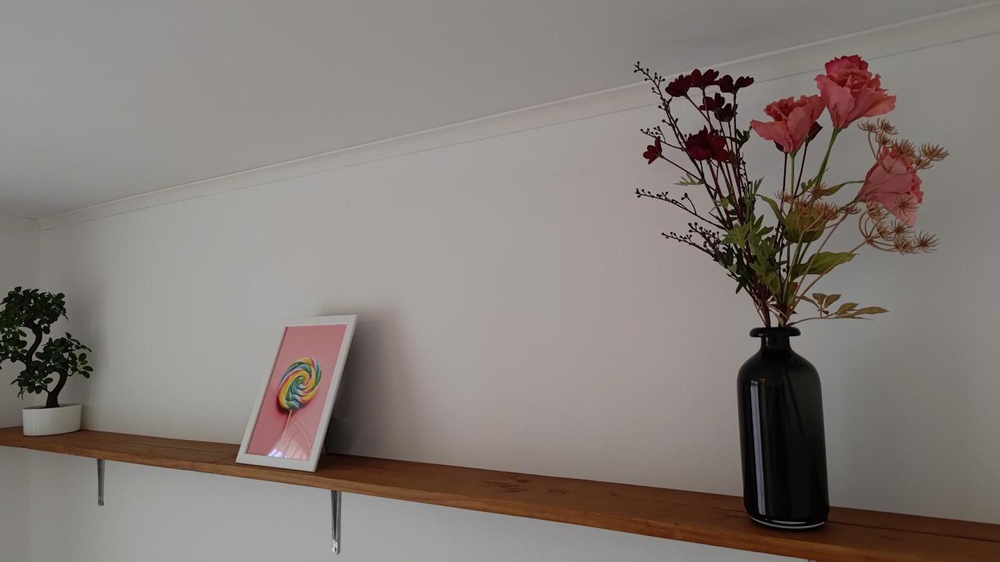 Appartementen Dorp & Duin エグモント・アーン・ゼー エクステリア 写真